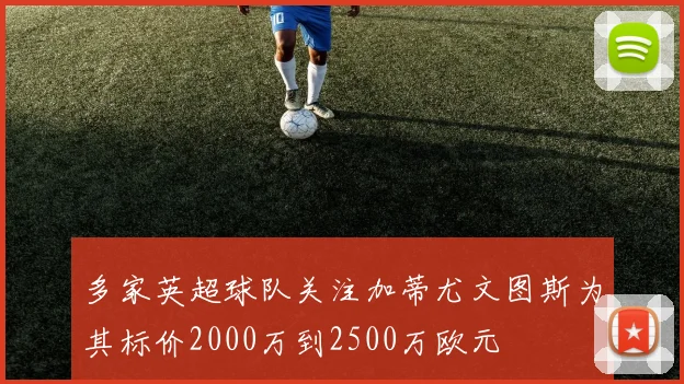 多家英超球队关注加蒂尤文图斯为其标价2000万到2500万欧元