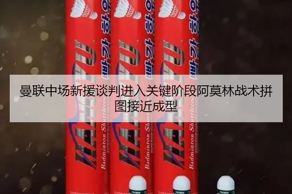 曼联中场新援谈判进入关键阶段阿莫林战术拼图接近成型